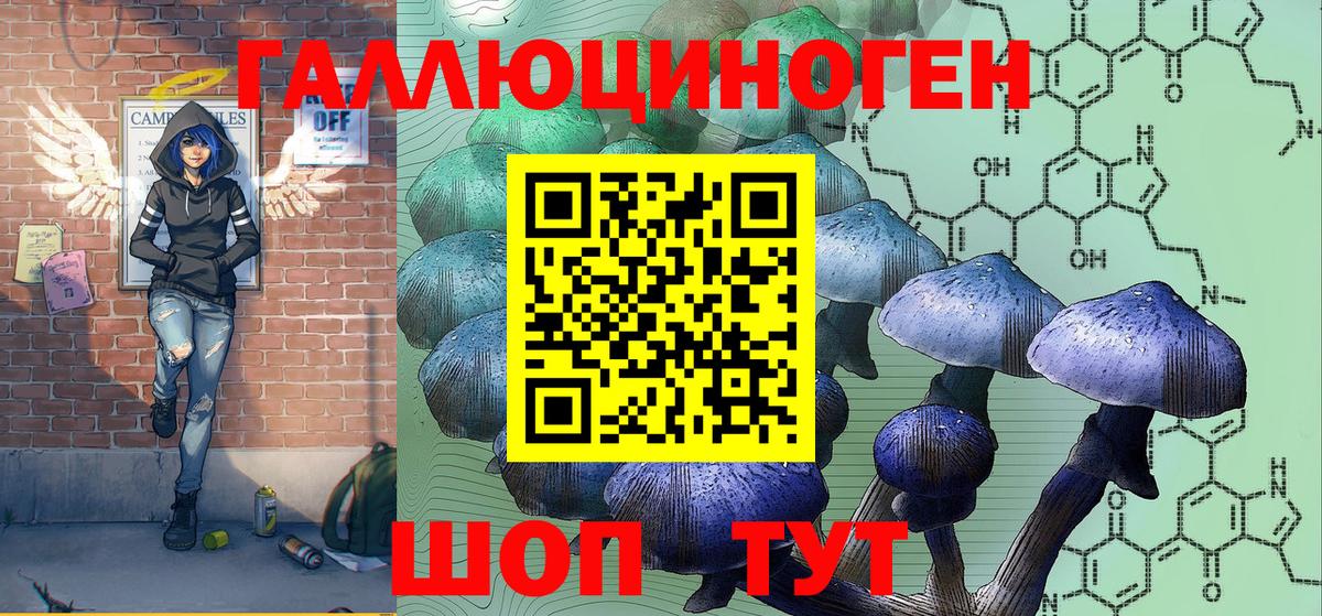 Нерюнгри  Галлюциногенные грибы прущие грибы  Вход с VPN  Галлюциногенные грибы Magic Shrooms 